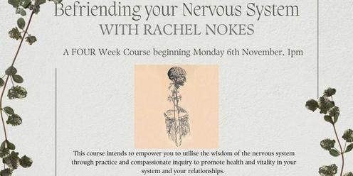 Befriending your Nervous System: A Four Week Course with Rachel Nokes