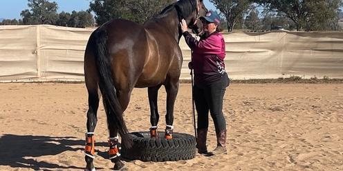 May Aussie Obstacles & Horsemanship Mini Challenge