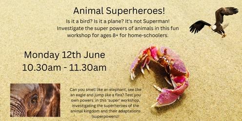 Big Bang Science Workshop - Animal Superheroes June 2023