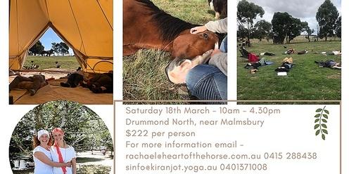 Relax, Reset & Receive One day Retreat with Heart of the Horse Drummond North