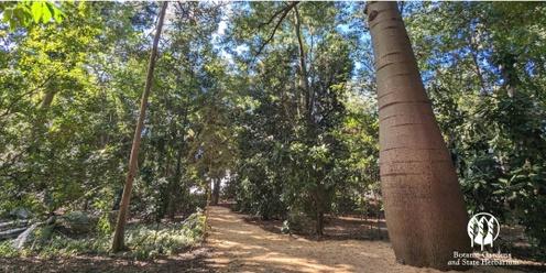 Mindfulness in the heart of the Adelaide Botanic Garden