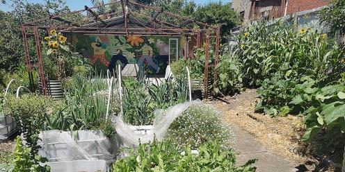 Strengthening edible and community gardening in Wyndham