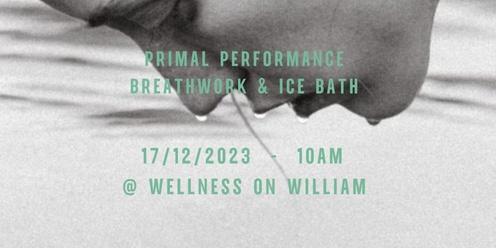 Breathwork & Ice Bath Session