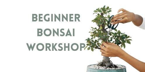 Beginner Bonsai Class