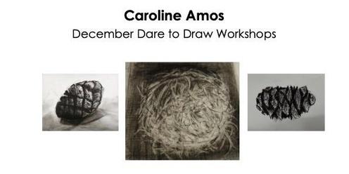 Dare To Draw by Caroline Amos