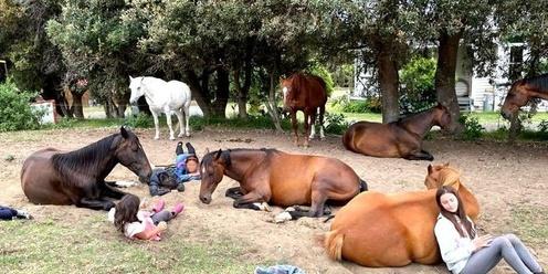 Kids 'Life Skills' Horse Camp