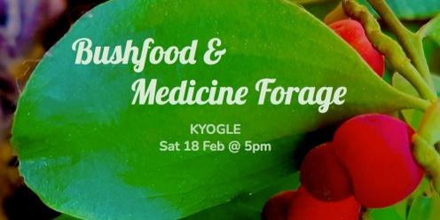 Bushfood & Medicine Forage - Kyogle 