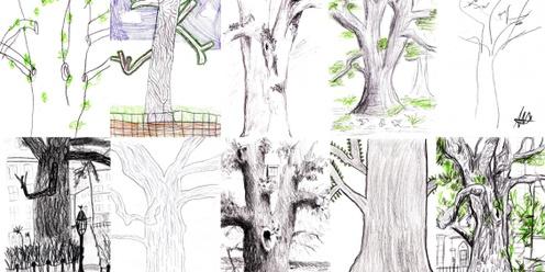 Tree Wonder Drawing Session