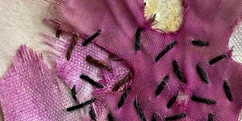 Stories Through Stitch | Workshop with Mary-Rose Riley