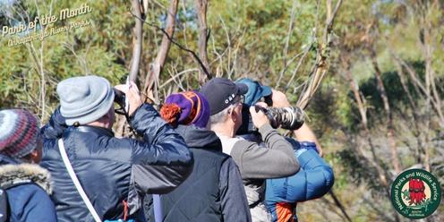 Be a better birder: Guided birdwatching walk and skills in Onkaparinga River National Park