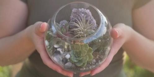 Spring Terrarium Making Class hosted by Blissful by Melissa