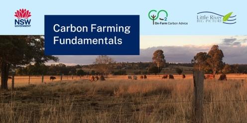 Carbon Farming Fundamentals - Little River/Yeoval