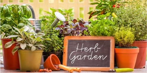 Your Self Sufficient Theraputic Garden