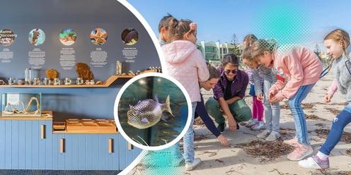 Nature and art at the Marine Discovery Centre