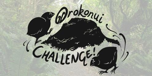 Orokonui Challenge - Running Event