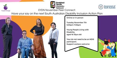 EYDN November Connect- State Inclusion Action Plan- Have your say!
