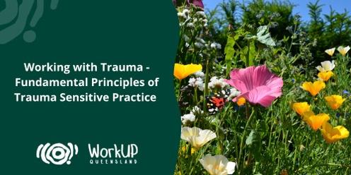 Working with Trauma - Fundamental Principles of Trauma Sensitive Practice (Online)