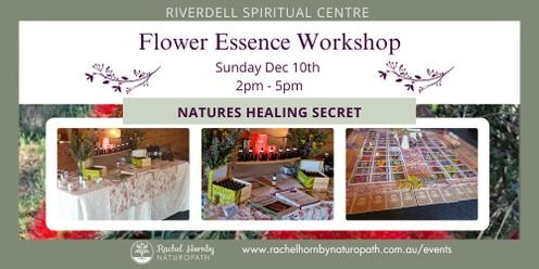 Natures Healing Secret - Flower Essence Workshop - 10th Dec. 2-5pm  Riverdell Spiritual Centre. SA