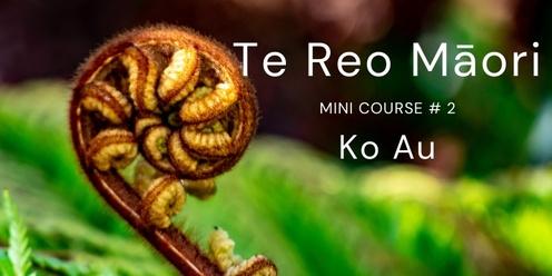 Te Reo Māori Mini Course #2 