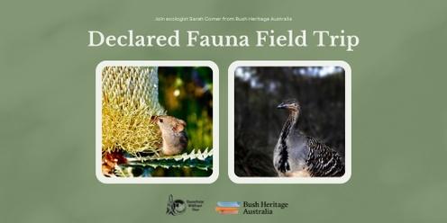 Declared Fauna Field Trip with  Ecologist Sarah Comer