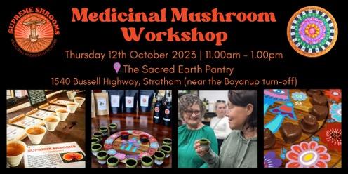 Medicinal Mushrooms Workshop at Sacred Earth Pantry, Stratham