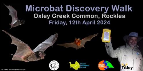 Microbat Discovery Walk, Oxley Creek Common