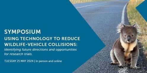 Using Technology to Prevent Vehicle-Wildlife Collisions 