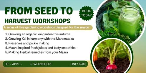 Seed to Harvest workshop - A series of five workshops designed for the season 