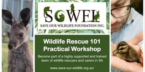 Wildlife Rescue 101 Online & Practical Workshop