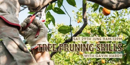 Tree pruning skills with Gavin Hardy