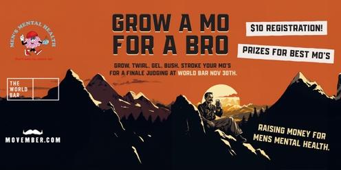 Grow a Mo for a Bro!