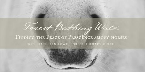 Forest Bathing Walk: Finding the Peace of Prescence Among Horses