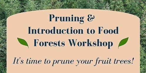Pruning & Introduction to Food Forests Workshop