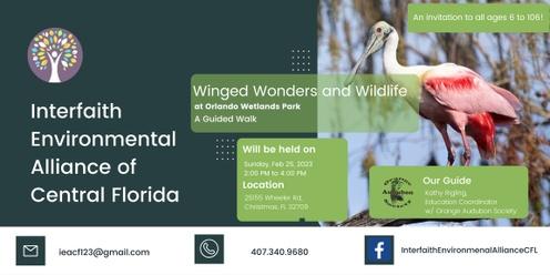 Winged Wonders & Wildlife at Orlando Wetlands Park: A Guided Walk