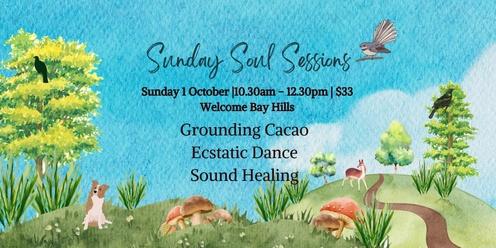 🌳🦋 Sunday Soul Sessions: Cacao, Ecstatic Dance, Sound Healing