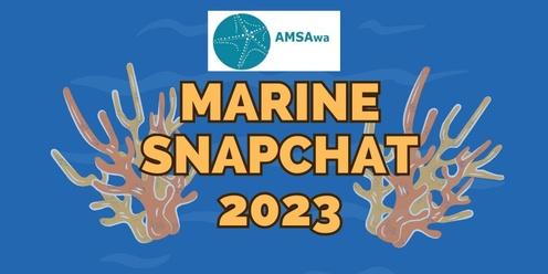 AMSA WA's Marine Snapchat