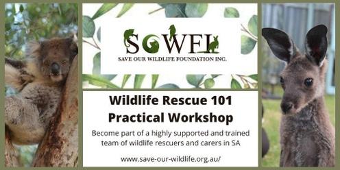 Wildlife Rescue 101 Practical Workshop