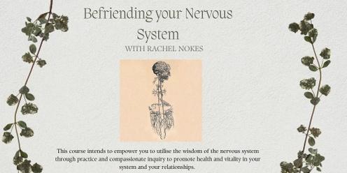 Befriending your Nervous System: A Five Week Course with Rachel Nokes