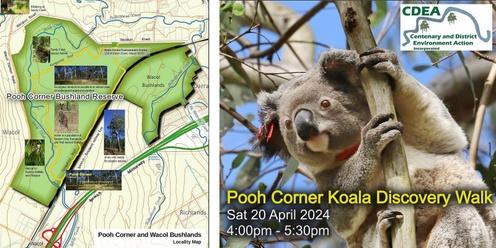 Pooh Corner Koala Discovery Walk
