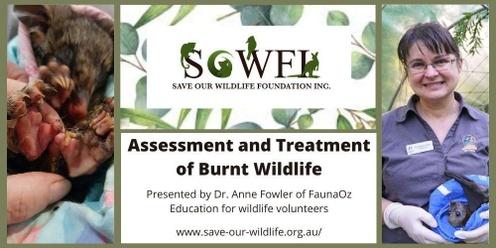 Assessment and Treatment of Burnt Wildlife presented by Dr. Anne Fowler