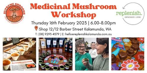 Medicinal Mushroom Workshop