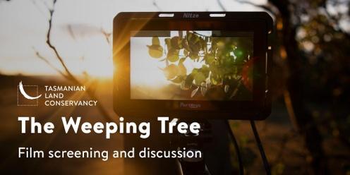 The Weeping Tree Screenings