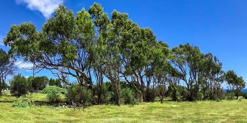 Cove Point Development - Let's Keep the Trees and protect the Coastal Heath