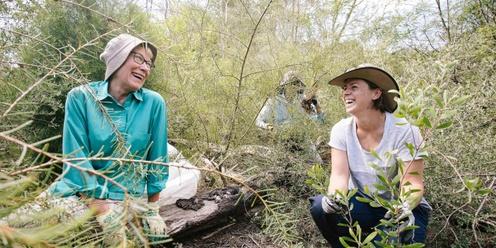  Bushcare for Beginners at Clovelly Bay - 26 April 2024