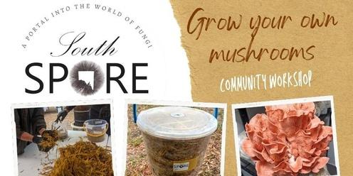 Grow your own Gourmet Mushrooms -Community Workshop