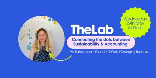 TheLab - Connecting the dots between Sustainability & Accounting