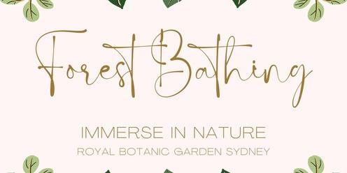 Forest Bathing - Royal Botanic Garden Sydney