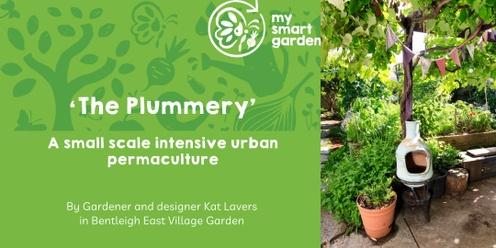 ‘The Plummery’: a small scale intensive urban permaculture 