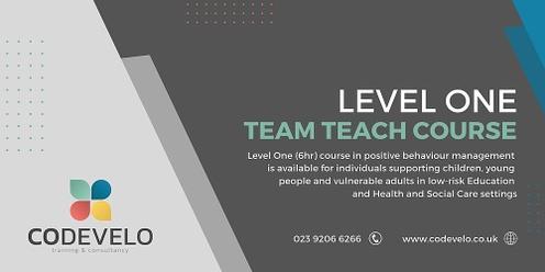 Team Teach Level 1 Course - Portsmouth - by Codevelo | Training & Consultancy