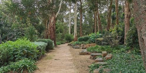 Forest Therapy Walk at Darebin Parklands 14th January 2024, 8am